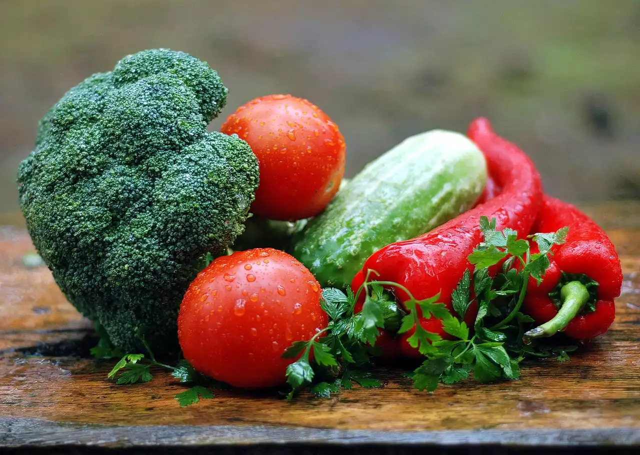 Die Vorteile einer vegetarischen Ernährung für Sportler und Fitnessbegeisterte